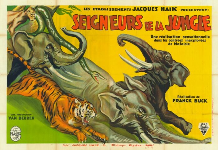 Affiche - SEIGNEURS DE LA JUNGLE - 240x160cm