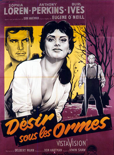 Affiche - DESIR SOUS LES ORMES - 120x160cm