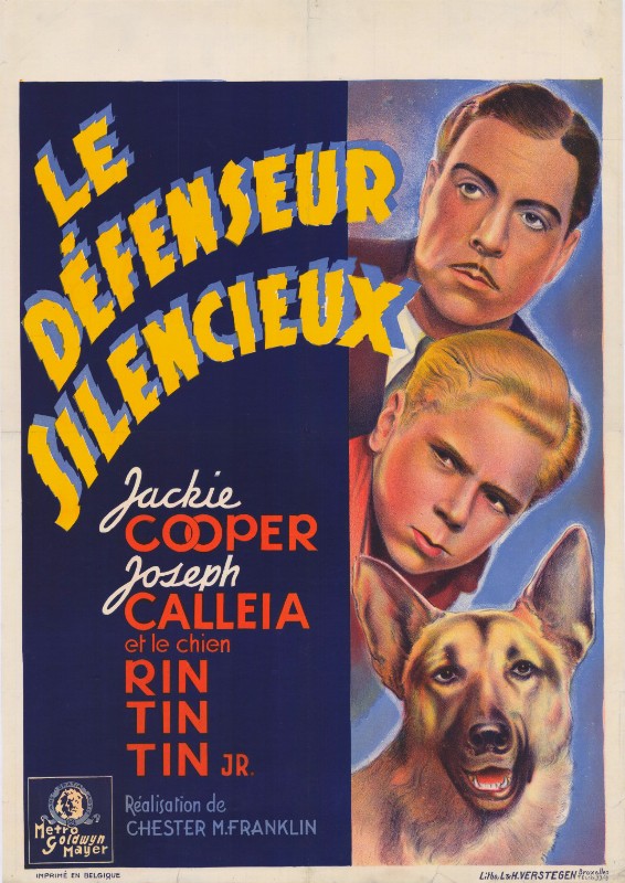 Affiche - DEFENSEUR SILENCIEUX (le) - 60x80cm - BEL