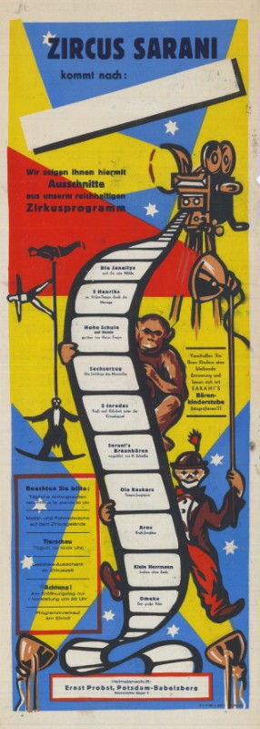 CIRQUE SARANI