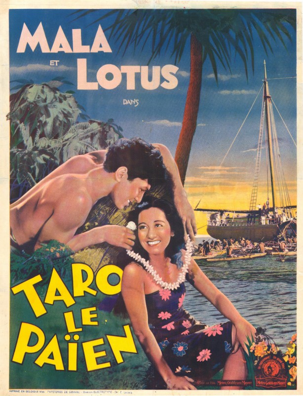 Repro 30x40cm - TARO LE PAIEN - Belge