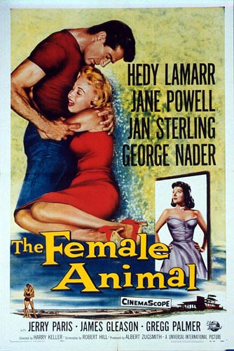 Affiche - FEMMES DEVANT LE DESIR - 70x105cm