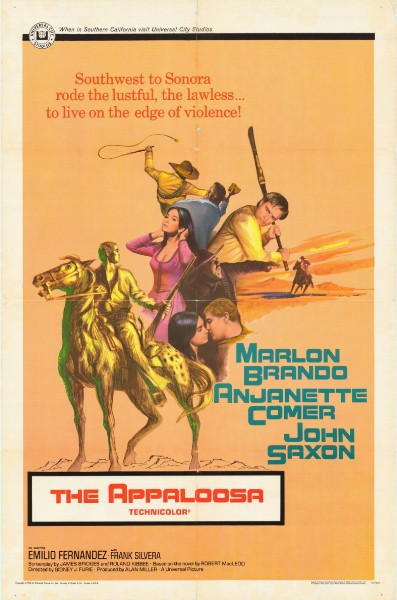 Affiche - HOMME DE LA SIERRA (l') - 70x105cm