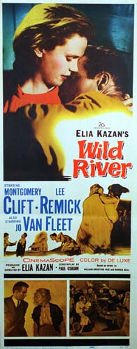 Affiche - FLEUVE SAUVAGE (le) - 36x92cm