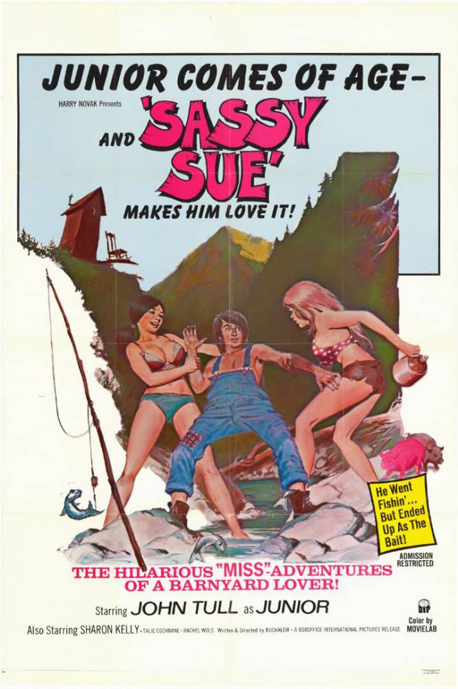 Affiche - HILARIOUS MISS ADVENTURES OF A BARNYARD LOVER! (the) - 70x105cm