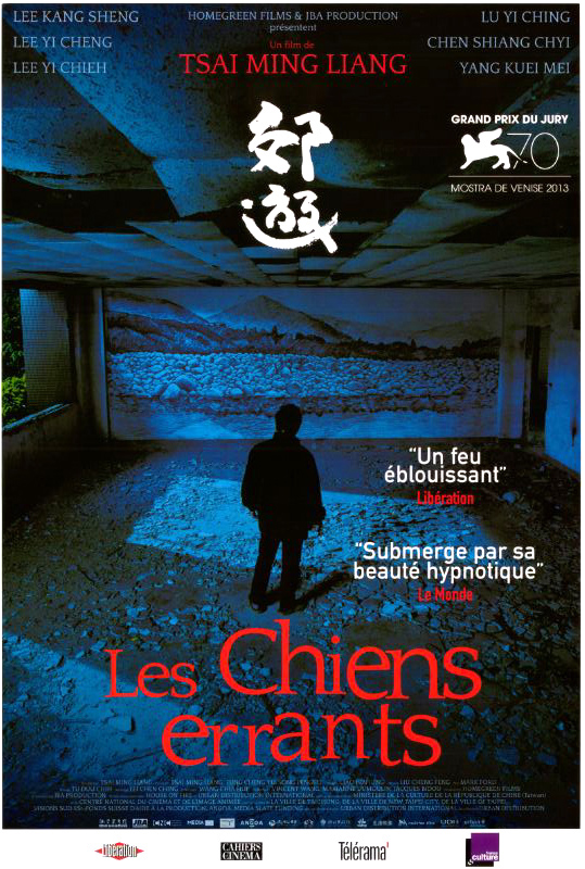 Affiche - CHIENS ERRANTS (les) - 40x55cm