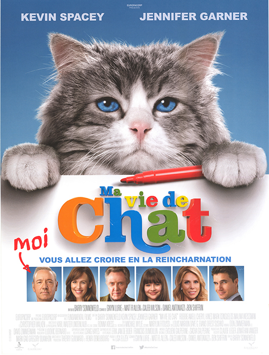 Affiche - MA VIE DE CHAT - 40x55cm