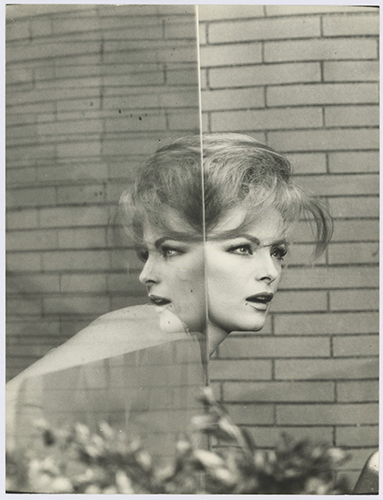 Photo - Virna LISI - 18x24cm