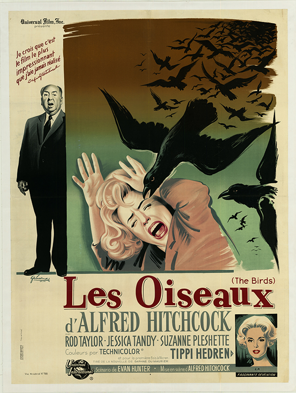 Affiche - OISEAUX (les) - 120x160cm