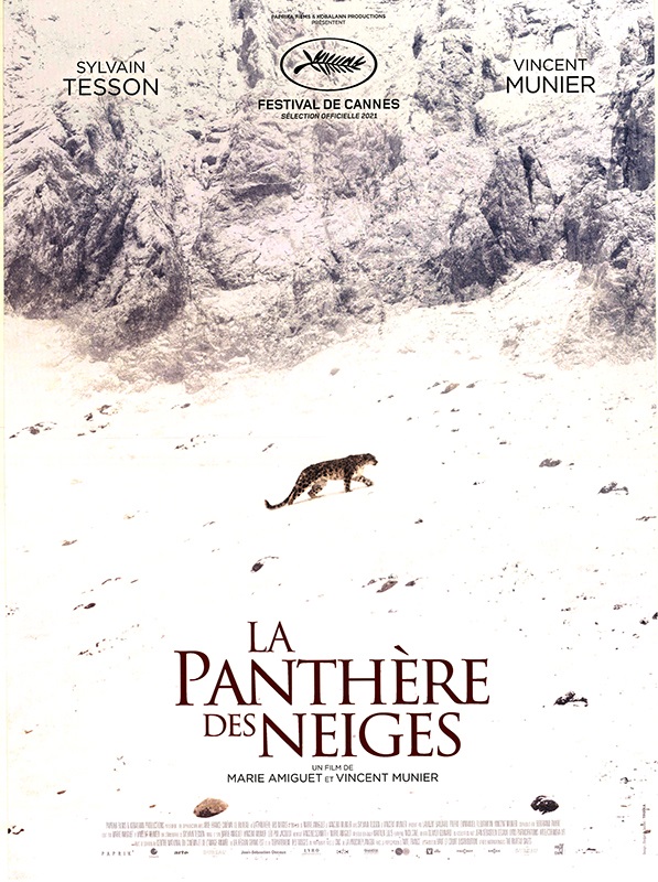 Affiche - PANTHERE DES NEIGES (la) - 40x55cm