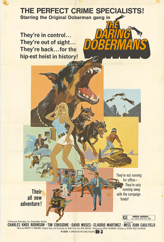 Affiche - DARING DOBERMANS (the) - 60x90cm