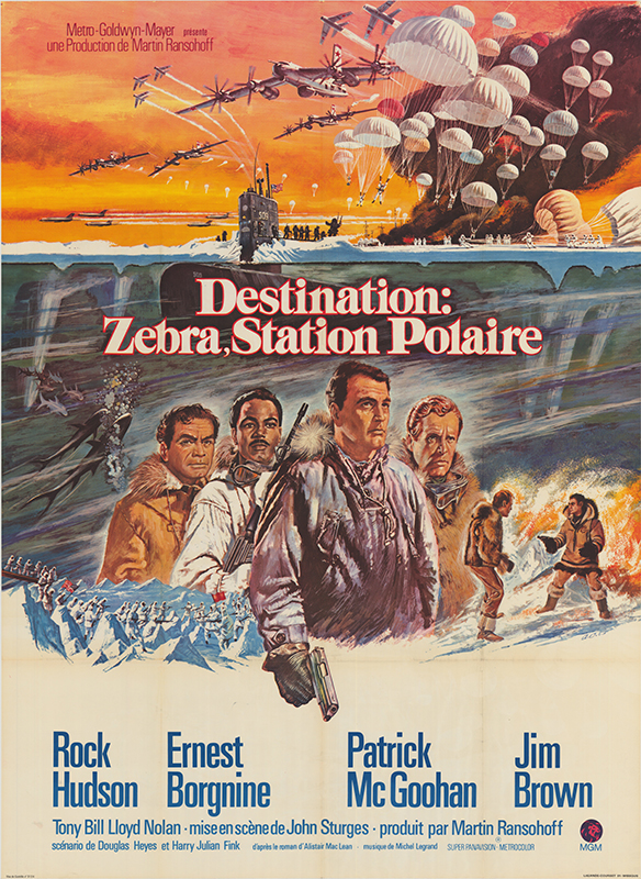 Affiche - DESTINATION ZEBRA STATION POLAIRE - 120x160cm