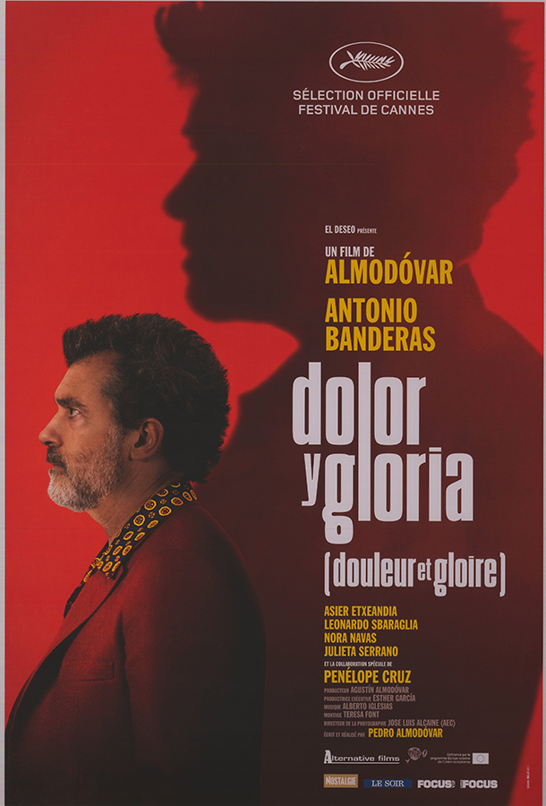 Affiche - DOULEUR ET GLOIRE - 40x60cm