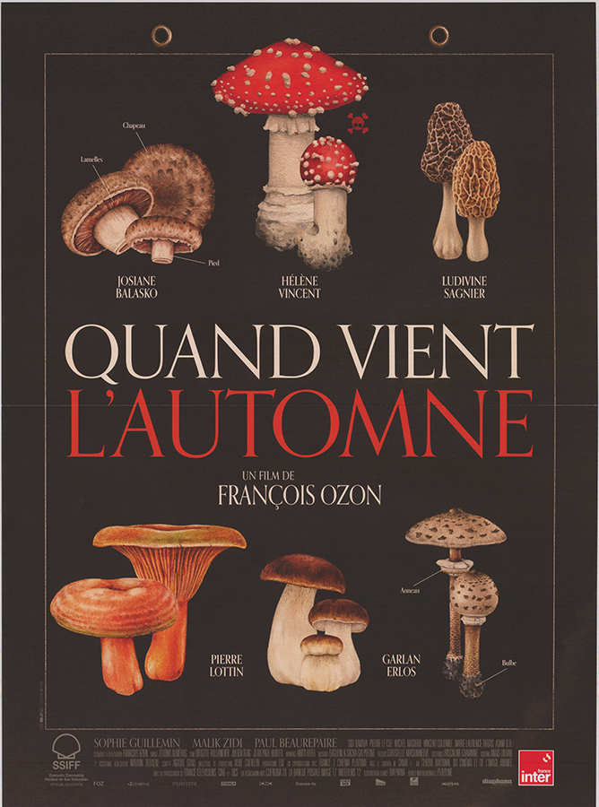 Affiche - QUAND VIENT L'AUTOMNE - 40x55cm