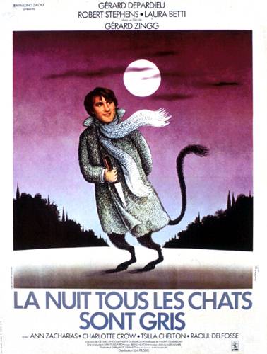Affiche - NUIT TOUS LES CHATS SONT GRIS (la) - 40x55cm