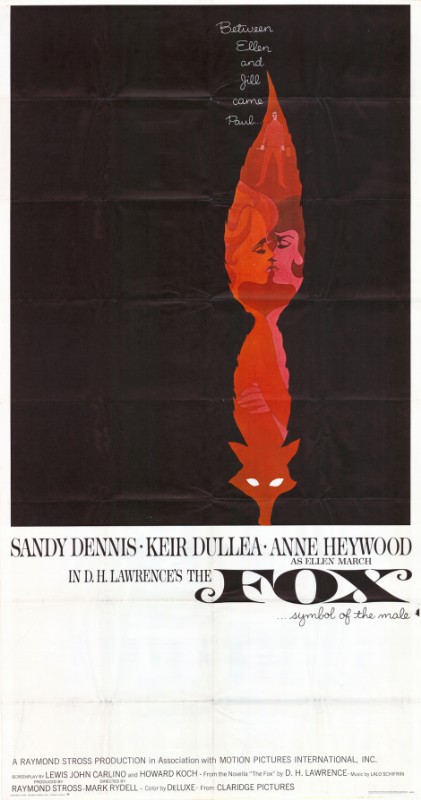 Repro 30x40cm - RENARD (le) - U.S.