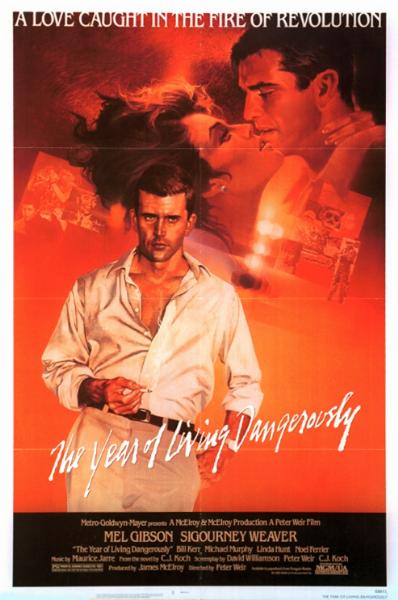 Affiche - ANNEE DE TOUS LES DANGERS (l') - 70x105cm