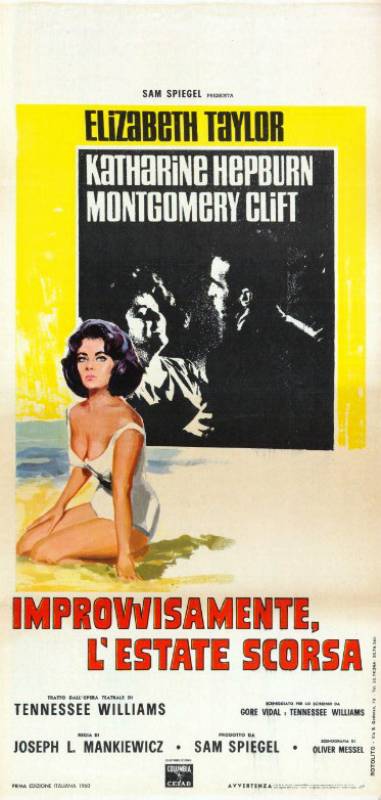 Affiche - SOUDAIN L'ETE DERNIER - 33x71cm
