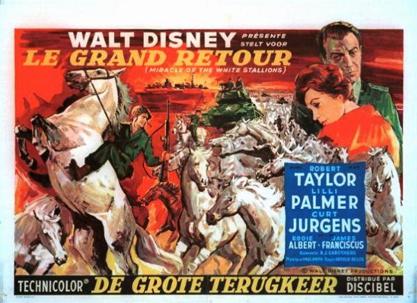 Repro 30x40cm - GRAND RETOUR (le) - Belge