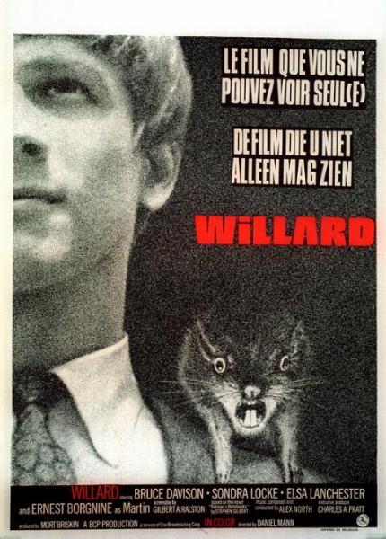 Repro 30x40cm - WILLARD - Belge