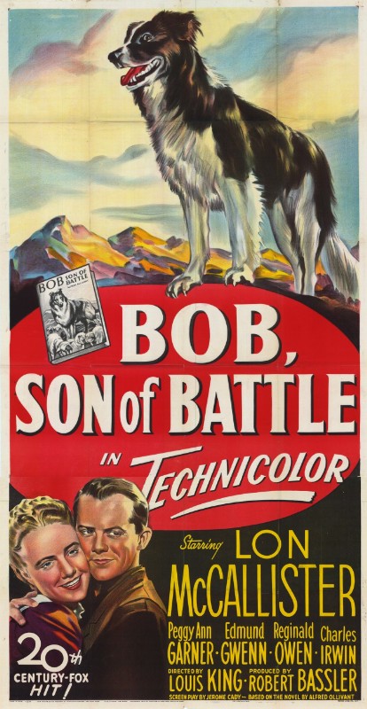 Affiche - THUNDER IN THE VALLEY - 100x200cm