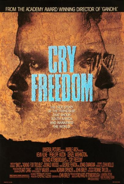 Repro 30x40cm - CRY FREEDOM LE CRI DE LA LIBERTE - U.S.