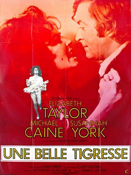 Affiche - UNE BELLE TIGRESSE - 120x160cm