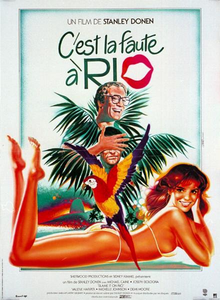 Affiche - C'EST LA FAUTE A RIO - 40x55cm