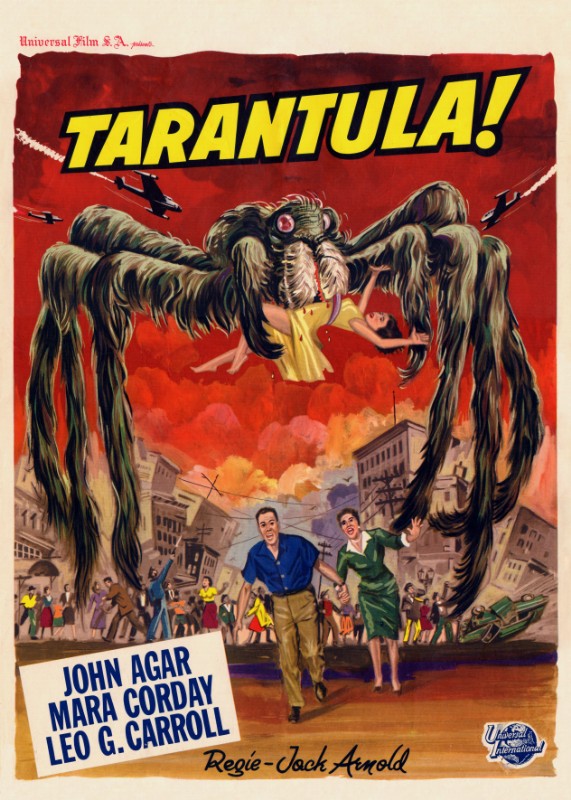 Repro 30x40cm - TARENTULA - Belge