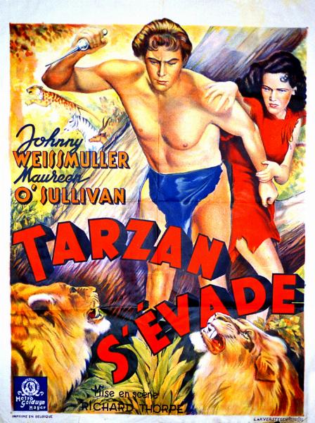 Repro 30x40cm - TARZAN S'EVADE - Belge