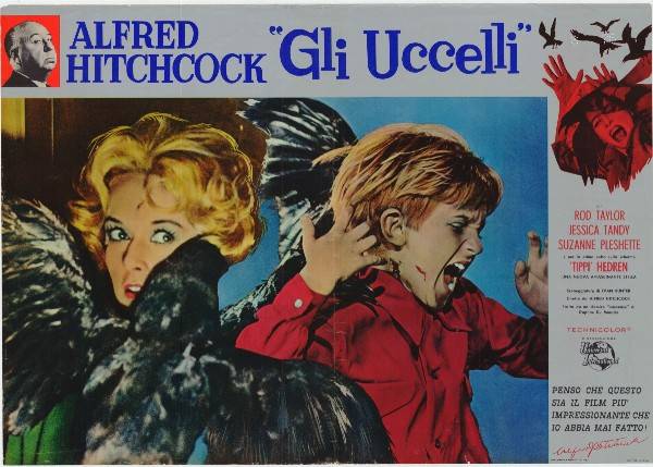 Affiche - OISEAUX (les) - 47x66cm I