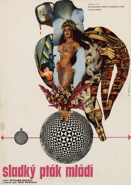 Affiche - DOUX OISEAU DE JEUNESSE - 30x40cm