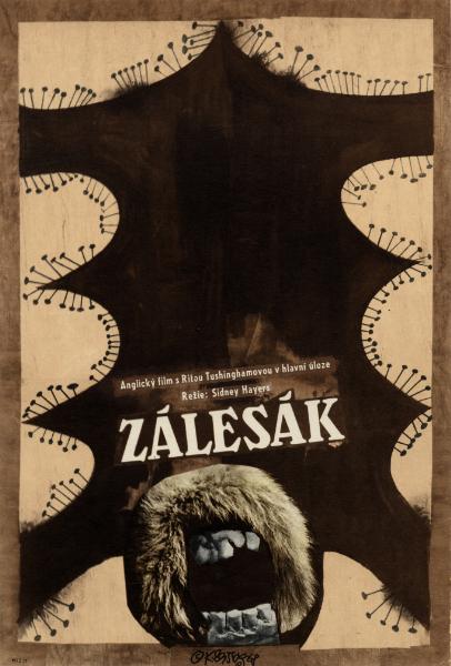 Affiche - AVENTURE SAUVAGE (l') - 30x40cm