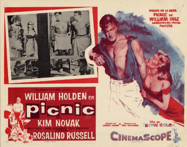 Affiche - PICNIC - 25x35cm