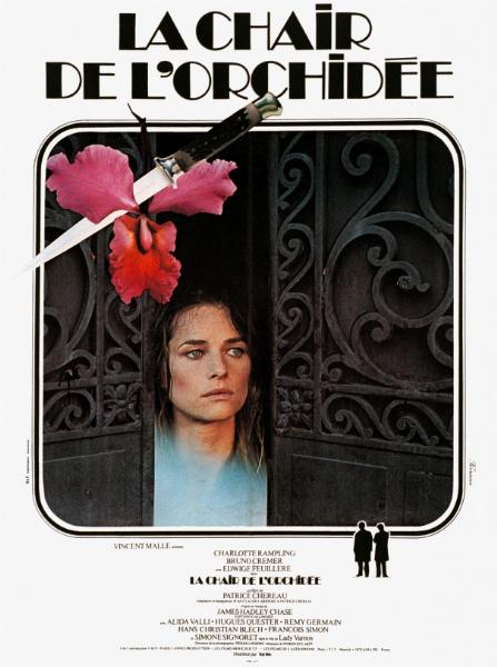 Affiche - CHAIR DE L'ORCHIDEE (la) - 60x80cm