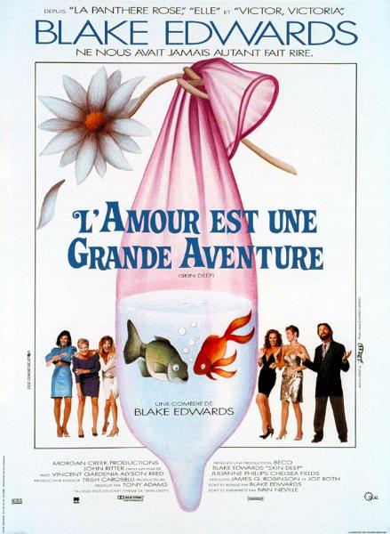 Affiche - AMOUR EST UNE GRANDE AVENTURE (l') - 40x55cm