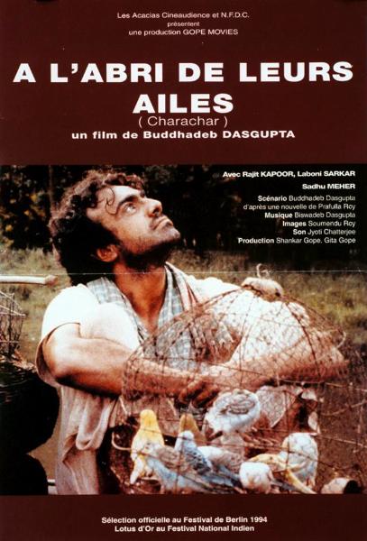 Affiche - A L'ABRI DE LEURS AILES - 40x55cm