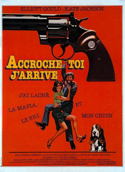 Affiche - ACCROCHE-TOI J'ARRIVE - 40x55cm