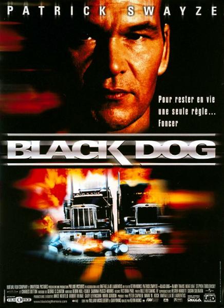 Affiche - BLACK DOG - 40x55cm