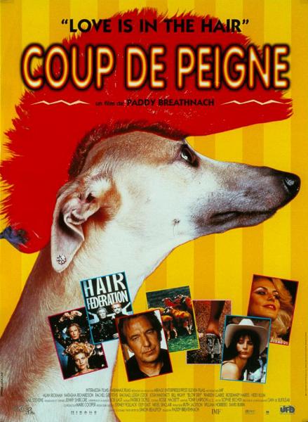 Affiche - COUP DE PEIGNE - 40x55cm