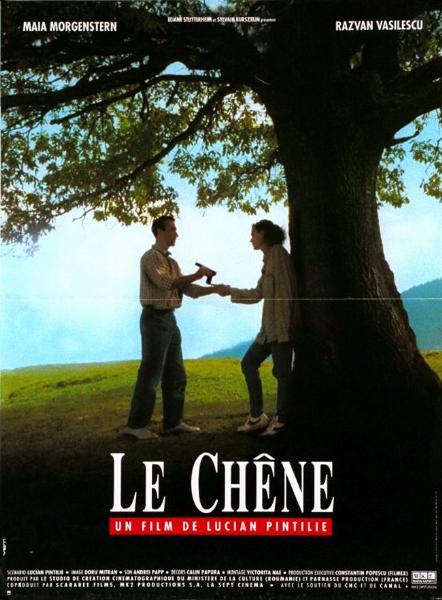 Affiche - CHENE (le) - 40x55cm