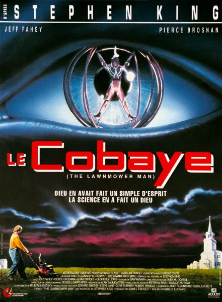 Affiche - COBAYE (le) - 40x55cm