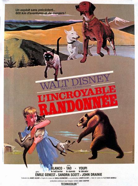 Affiche - INCROYABLE RANDONNEE (l') - 40x55cm