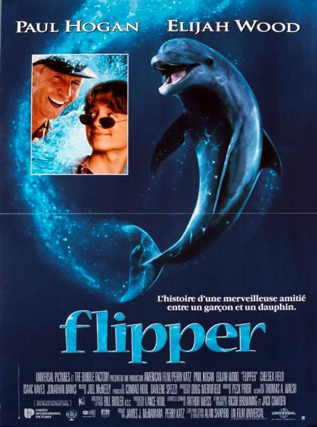 Affiche - FLIPPER - 40x55cm