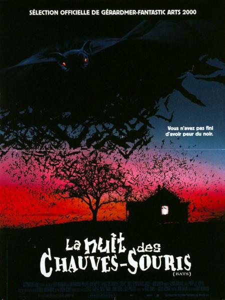 Affiche - NUIT DES CHAUVES-SOURIS (la) - 40x55cm