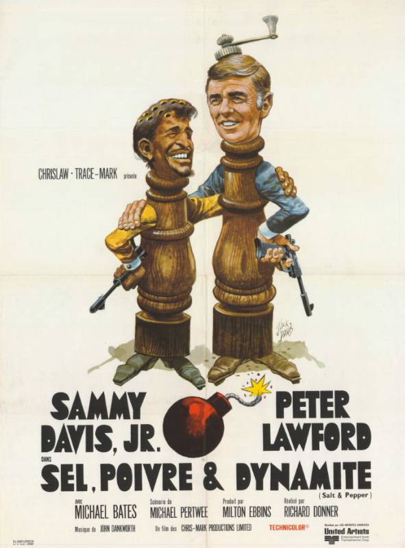Repro 30x40cm - SEL, POIVRE ET DYNAMITE - Française