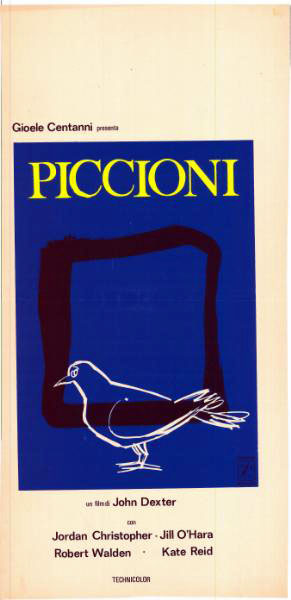 Affiche - SIDELONG GLANCES OF A PIGEN FANCIER - 33x71cm