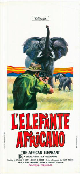 Repro 30x40cm - AFRICAN ELEPHANT (the) - Italienne