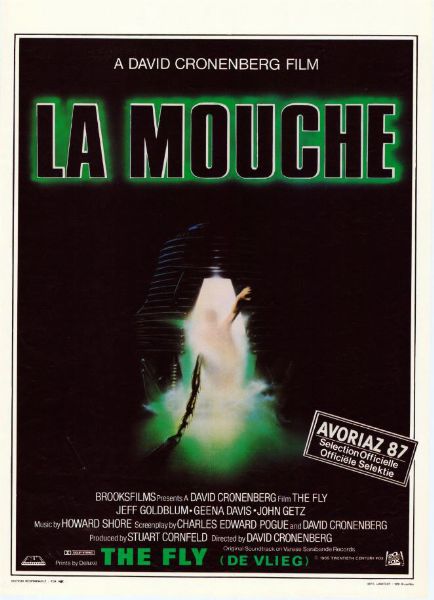 Repro 30x40cm - MOUCHE (la) - Belge