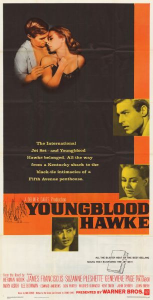 Affiche - YOUNGBLOOD HAWKE - 100x200cm